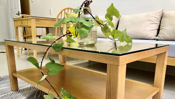 A wooden table with a glass top and a lower shelf, accompanied by a potted plant with green leaves. - New Hampton Hospitality - Cornelia Hotel & Apartment (Ho Chi Minh City)