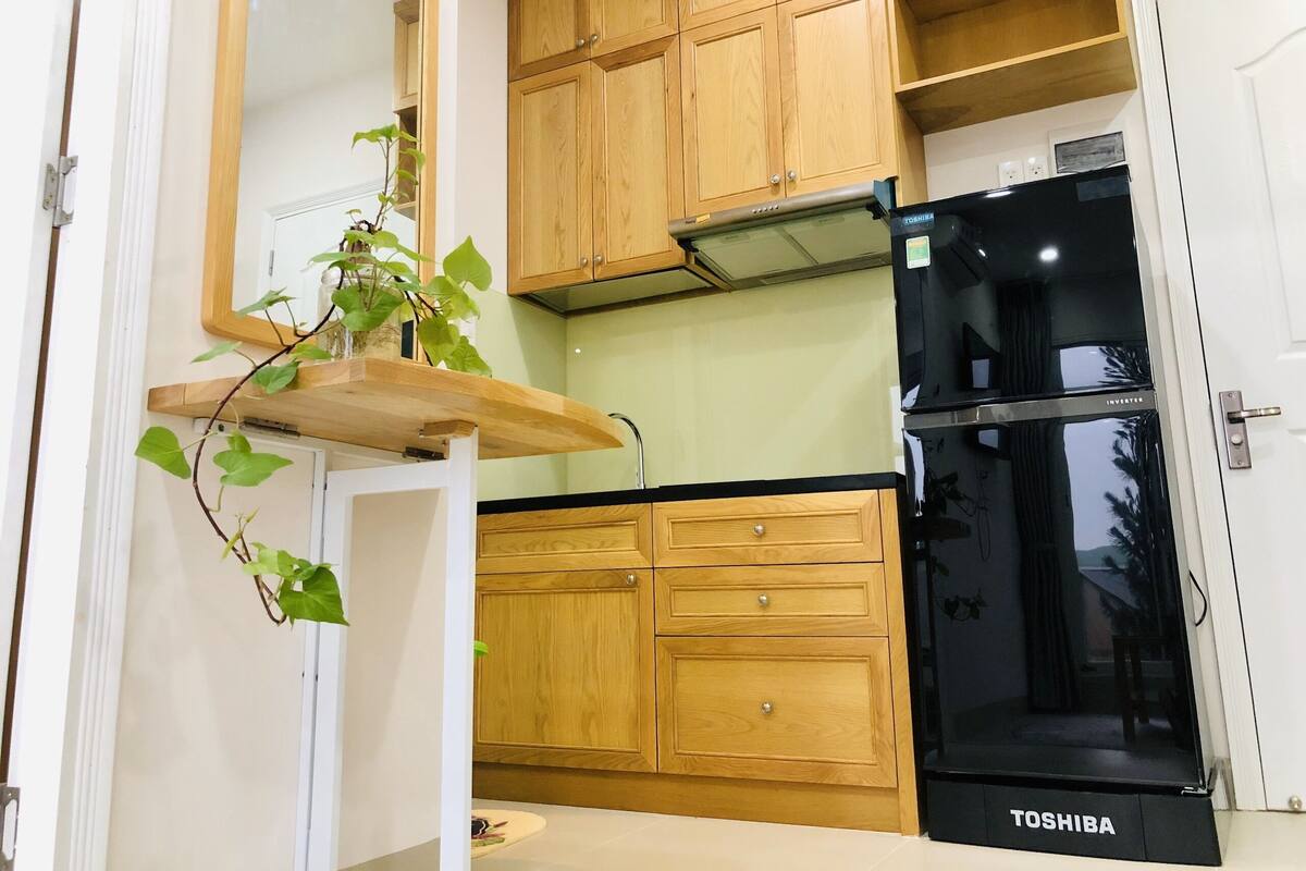 A kitchen with wooden cabinets, a black refrigerator, and a plant on a shelf.