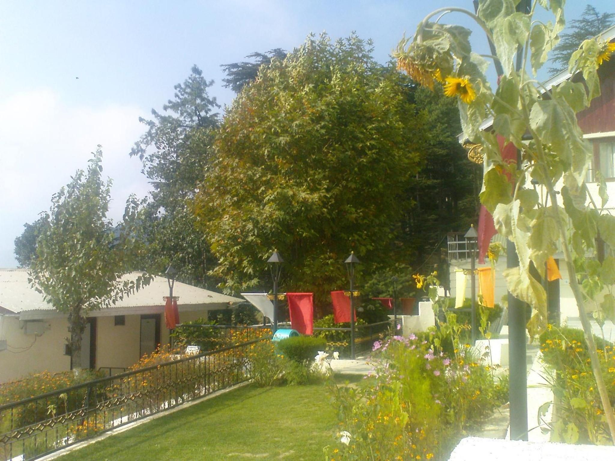 A residential area with a large tree, a fenced garden, and a building with a red awning.