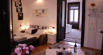 Executive Luxury Living Apartments(ELLA) in the Heart of Timisoara