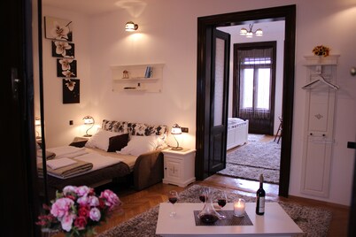 Executive Luxury Living Apartments(ELLA) in the Heart of Timisoara