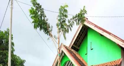 Anggun Homestay - Hostel