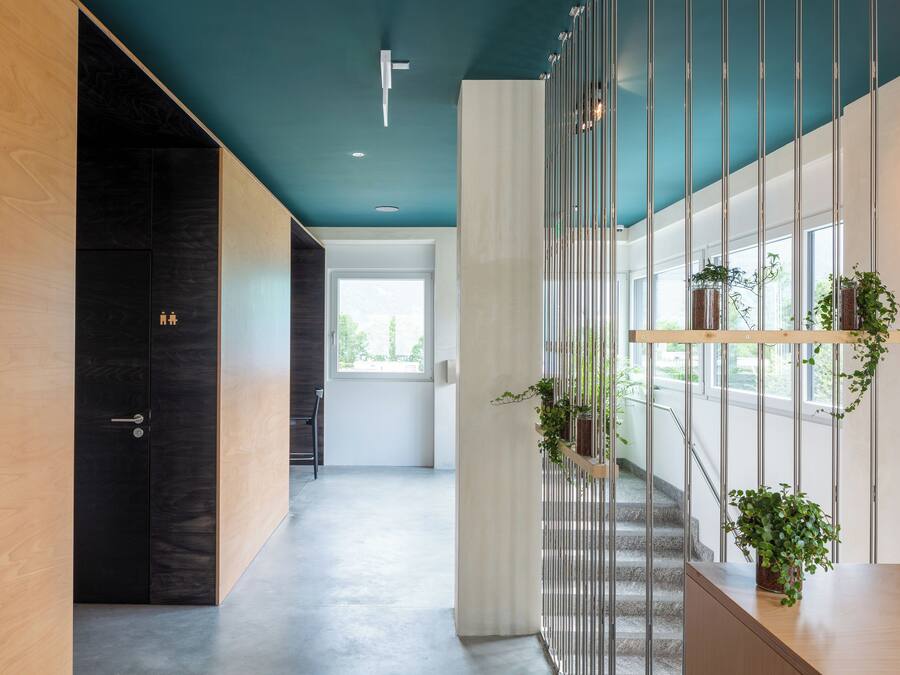 A modern interior with a staircase, wooden and black walls, and potted plants.