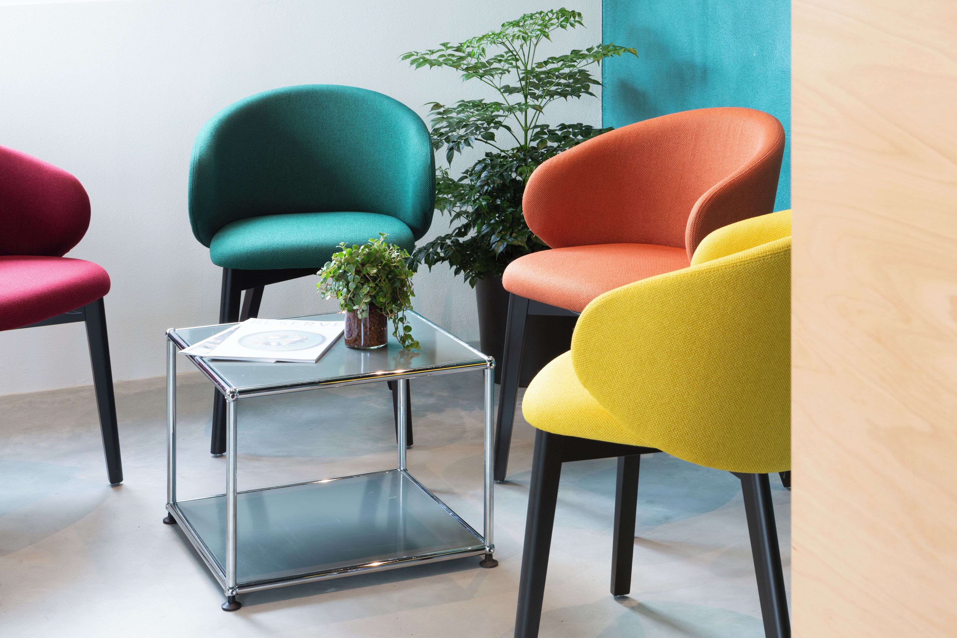 50-inch smart tv with satellite channels, tv