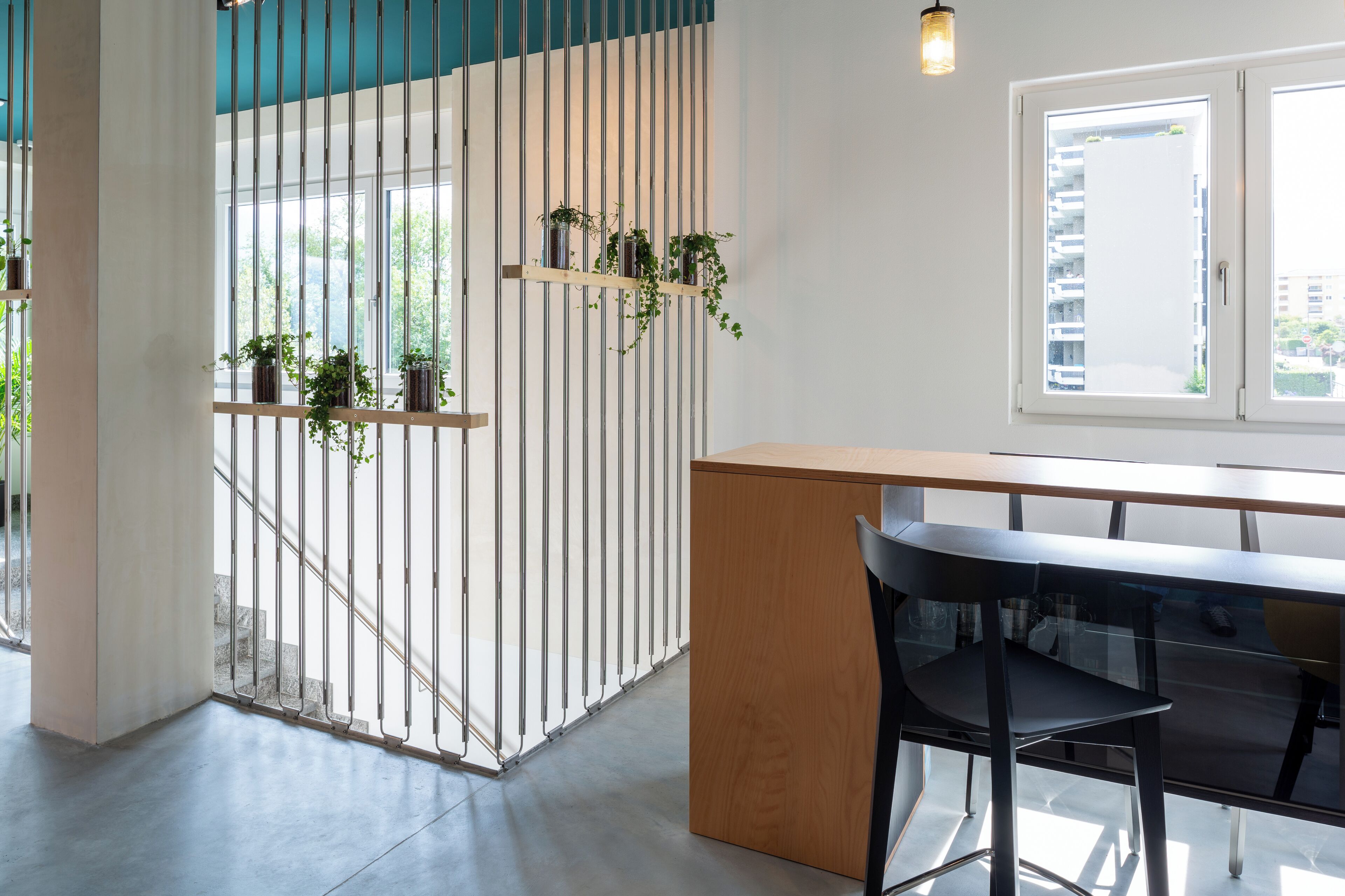 50-inch smart tv with satellite channels, tv