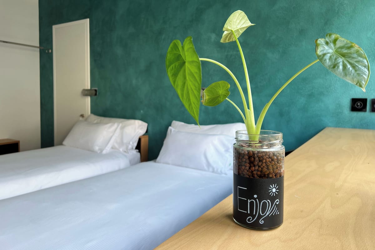 Una habitación con dos camas, una mesa de madera y una planta en un tarro que dice 'Disfruta'.