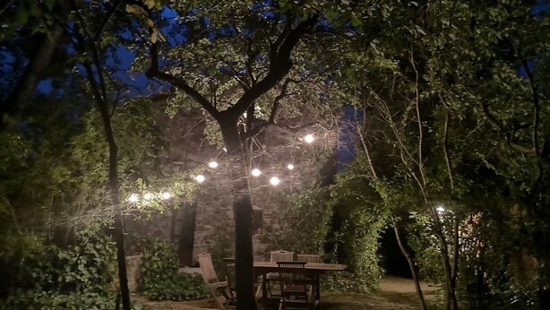 An outdoor seating area with a table and chairs under a tree, surrounded by greenery. - Il Fienile -The Barn at Rose Cottage in Tuscany (Caniparola Fosdinovo,)