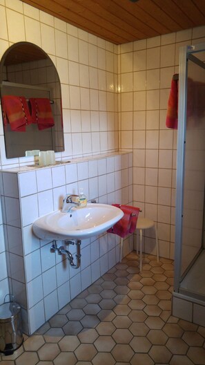 Double Room | Bathroom | Shower, hair dryer