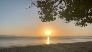 Uma praia com um pôr do sol sobre a água, areal arenoso e uma árvore em primeiro plano.