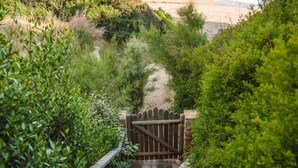 A pathway leading to a beach with a wooden gate, surrounded by greenery. - Vrysomylos - Unique Villa on the beach front (Gargalianoi)