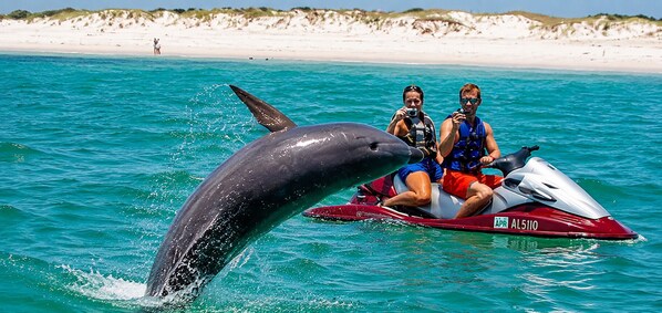 Een jetski met twee personen, een dolfijn die uit het water springt, en een strand met wit zand op de achtergrond.