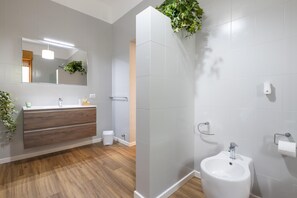 Ducha, secador de pelo, bidé y toallas