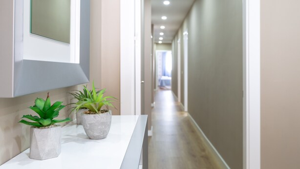 Un couloir avec un comptoir d’accueil blanc, deux plantes en pot et un miroir au mur.