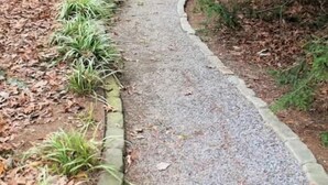 A gravel pathway bordered by grass and plants, leading to a building with a brick facade. - Emory guest room, sleeps 2 (Atlanta)