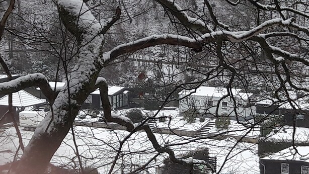 Paisagem coberta de neve com árvores desfolhadas e uma vista distante de área residencial, com casas e uma escadaria que sobe a um edifício.