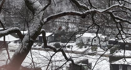 Komplett eingerichtetes Chalet für 4 Personen