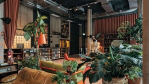 A modern interior with a sofa, a bookshelf, and a large potted plant. - Superbude Wien Prater (Vienna)