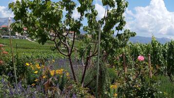Apartment (Two-Bedroom Apartment with Balcony) | Garden