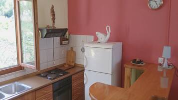 Apartment (Two-Bedroom Apartment with Balcony) | Private kitchen | Fridge