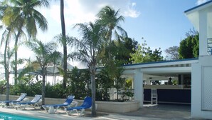 A pool area with lounge chairs and palm trees.