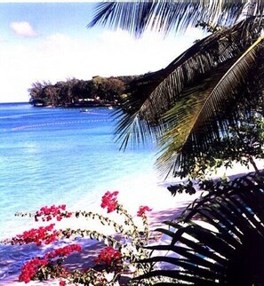 Sun loungers, beach towels - Comfortable & spacious one bed westcoast apartment, near shops, beach and pool.  (St. James)