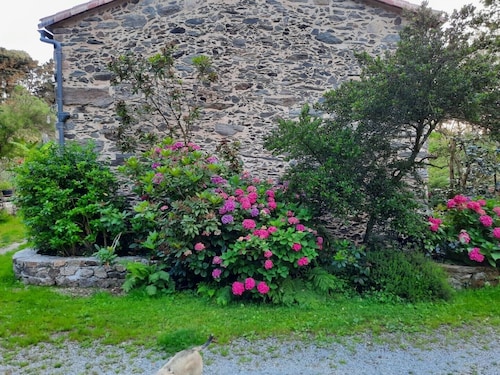 GÎTE DU PETIT MOULIN