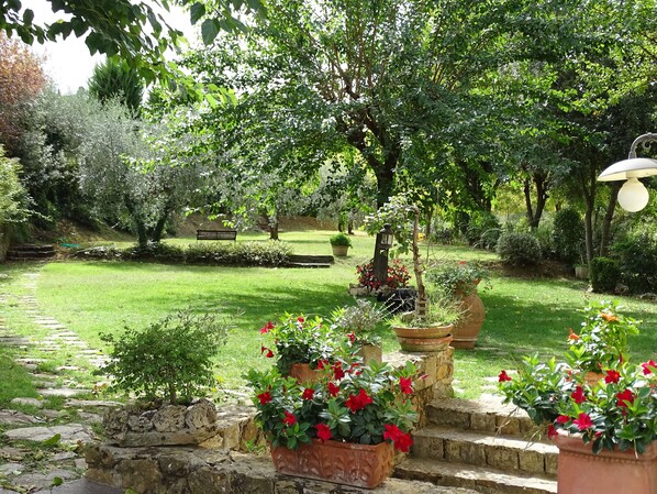 المنطقة المحيطة بالمنشأة