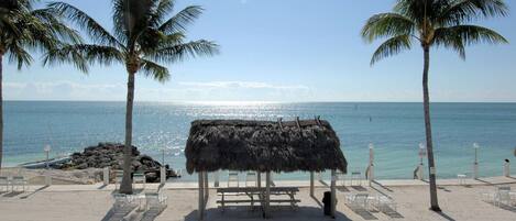 A beach with a thatched hut, palm trees, and lounge chairs.