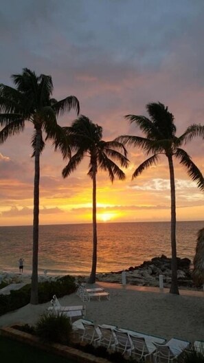 Ein Strand mit Palmen und einem Sonnenuntergang.