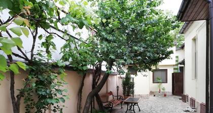 Free WiFi- Airport shuttle- Family rooms- Non-smoking rooms- 24-hour front desk