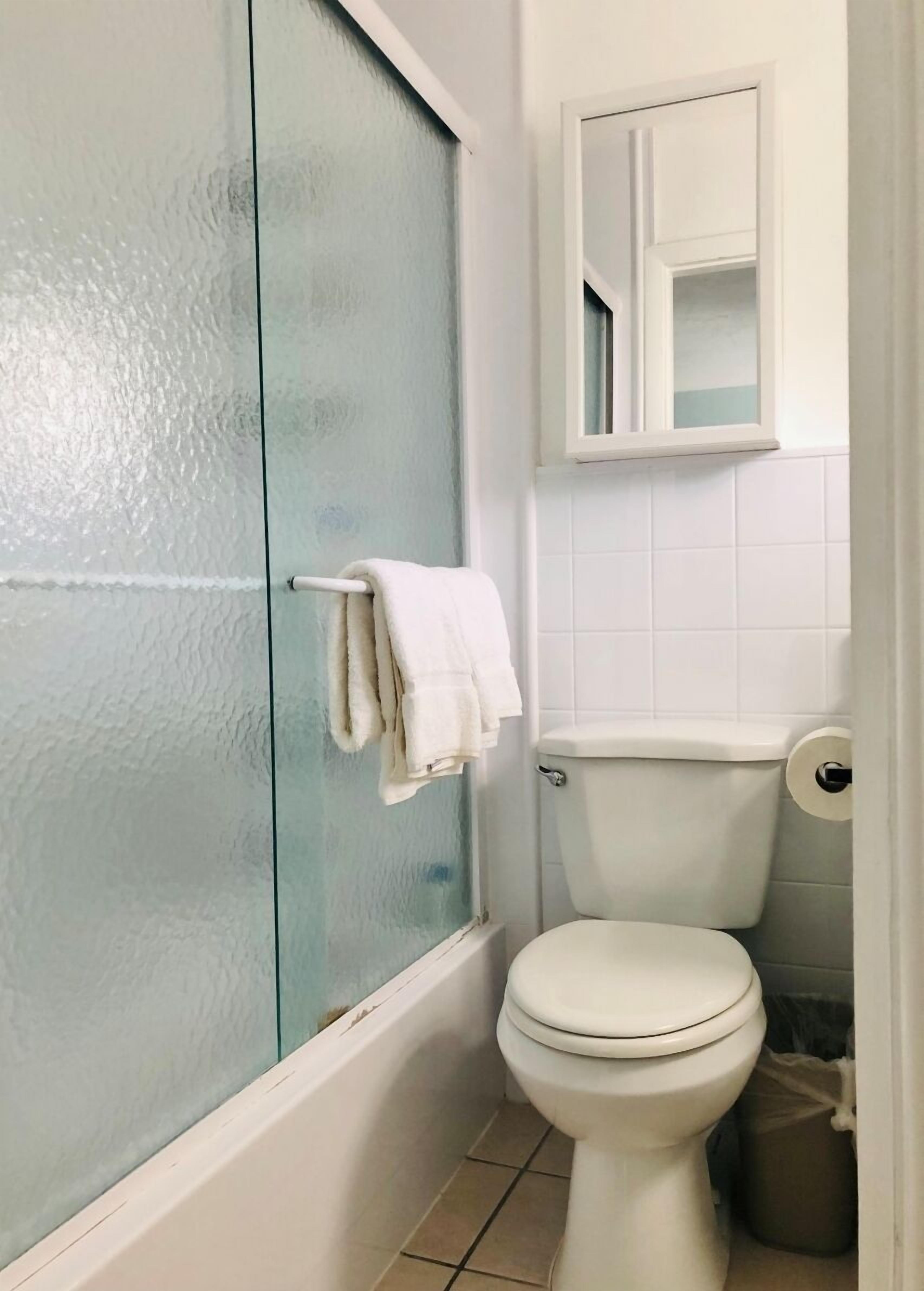 A bathroom with a glass shower door, a toilet, and a small mirror above the toilet.
