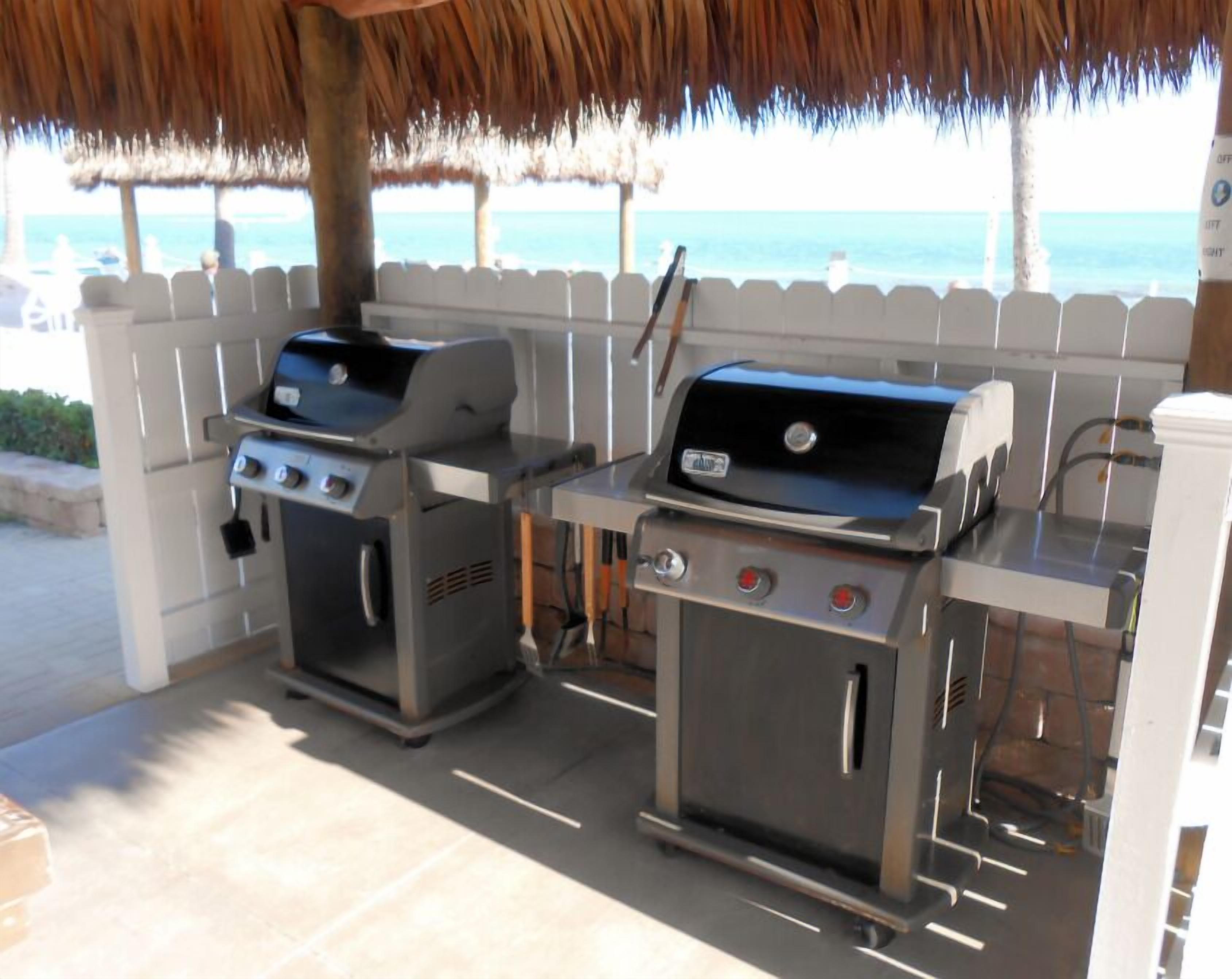 Two barbecue grills under a thatched roof, with a view of the ocean in the background.