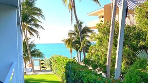 A narrow, well-maintained grassy pathway leading to a beach, bordered by lush greenery and palm trees, with a clear view of the ocean. - Beachside Unit 14 - Key Colony (Key Colony Beach)