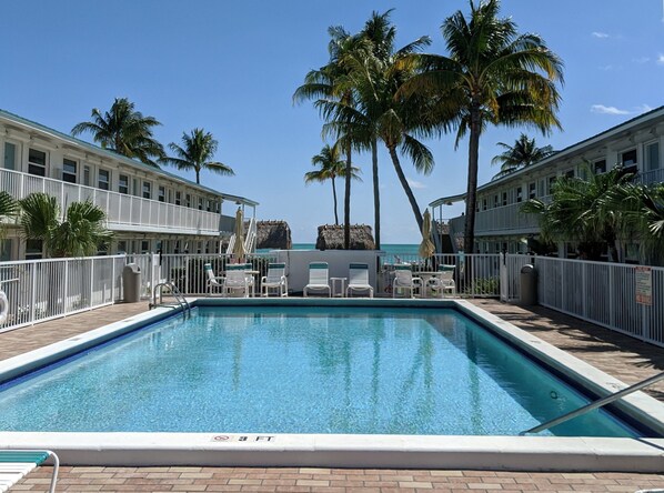 A pool area with lounge chairs and palm trees, surrounded by buildings with balconies. - Beachside Unit 39 - Key Colony (Key Colony Beach)