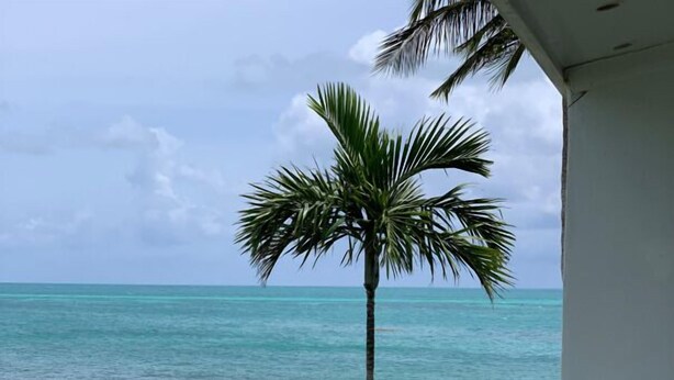 A balcony with a view of a beach and ocean.