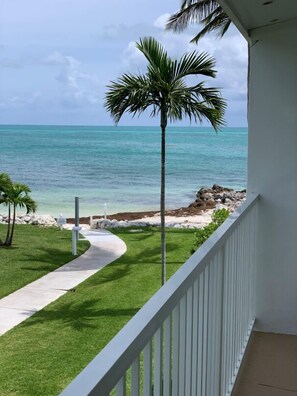 Property grounds - Beachside Unit 39 - Key Colony (Key Colony Beach)