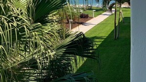 Vista de una playa con palmeras y un cielo azul despejado.