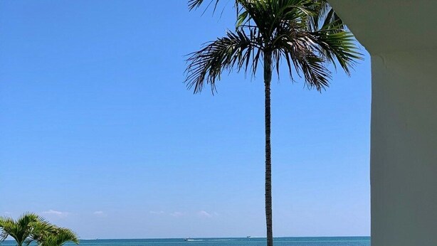 A balcony with a view of the ocean, a pathway leading to the beach, and a palm tree. - Beachside Unit 29 - Key Colony (Key Colony Beach)