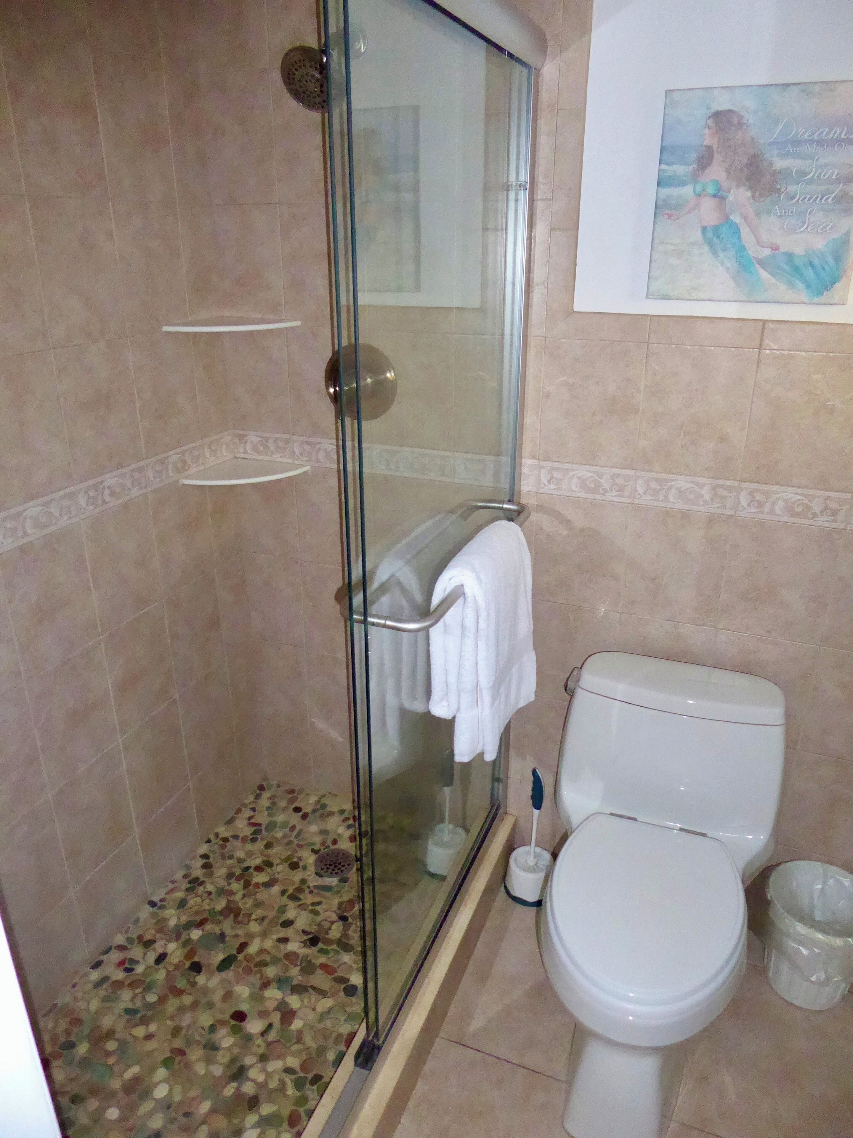 Une salle de bain avec une douche à parois de verre, des toilettes et un lavabo.