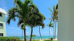 A well-maintained lawn with palm trees and a clear view of the ocean. - Beachside Unit 26 - Key Colony (Key Colony Beach)