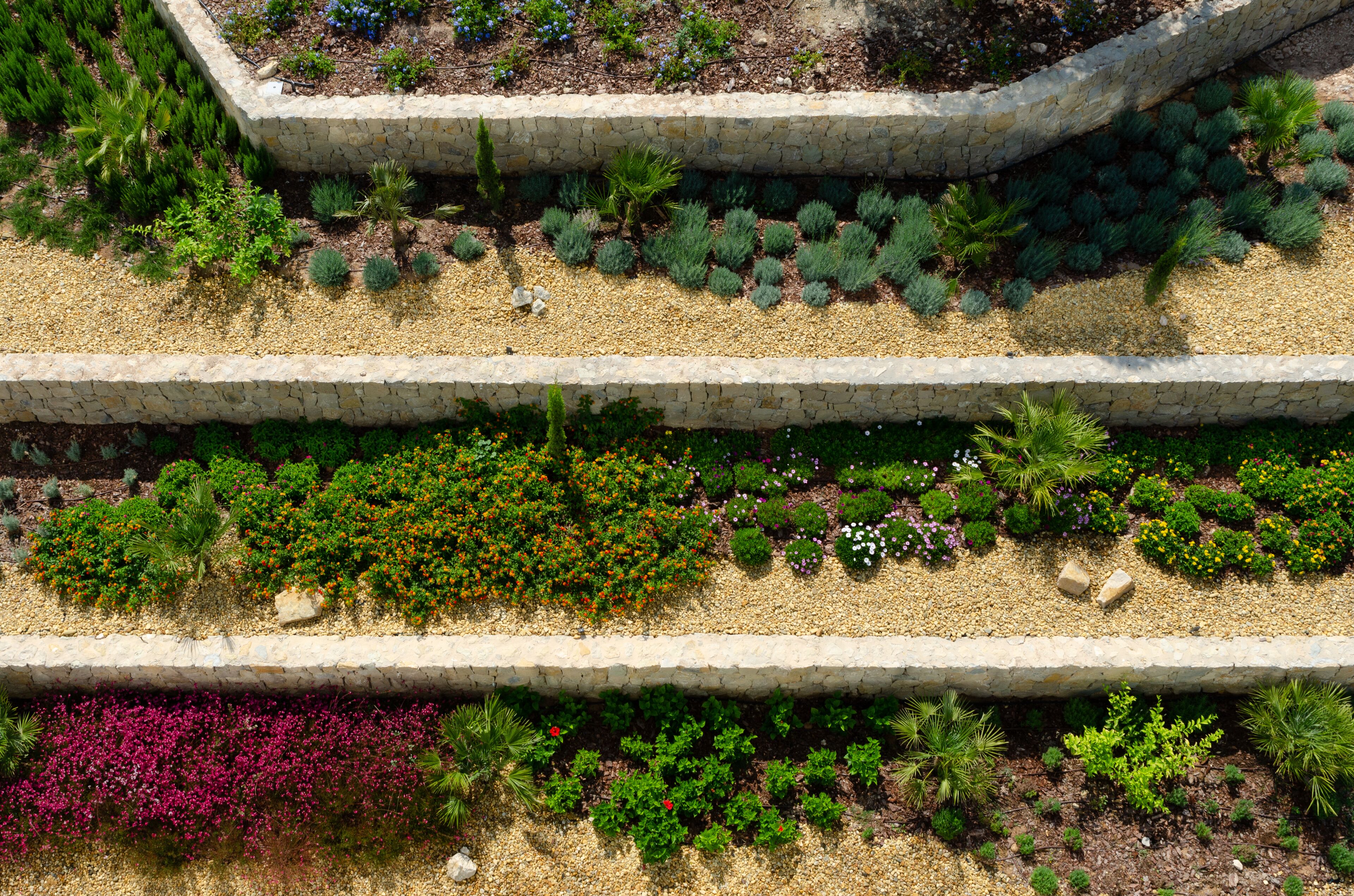 A tiered garden with various plants and flowers, arranged in stone planters.