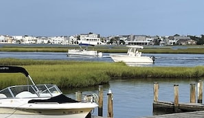 A marina with boats docked, a grassy shoreline, and houses in the background.