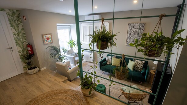 A living room with a sofa, chairs, and hanging plants.