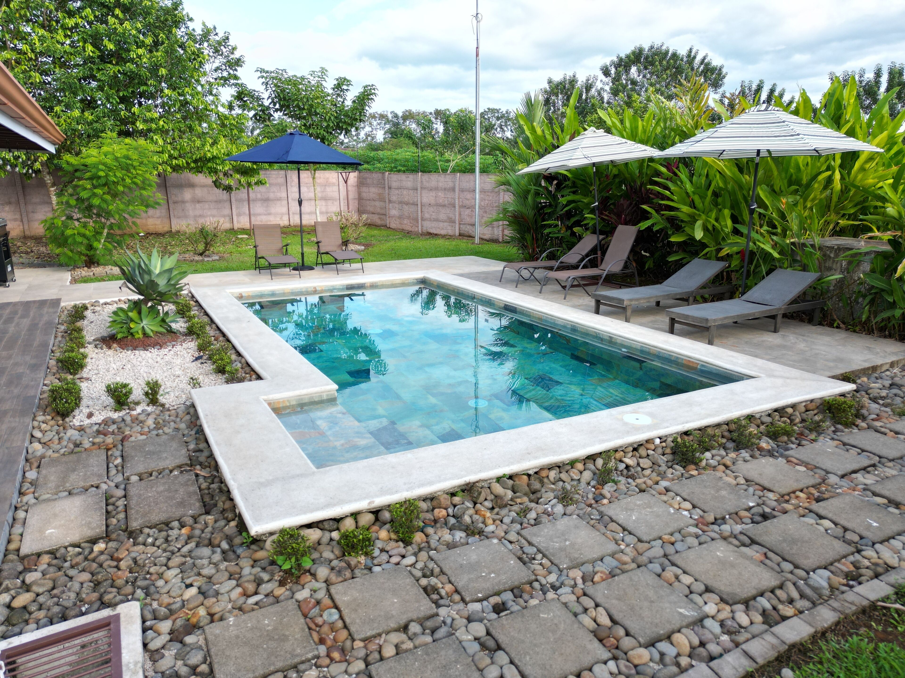 A rectangular swimming pool with a stone border, surrounded by a pebble pathway and small plants. There are two umbrellas providing shade, and a few lounge chairs are placed around the pool area.