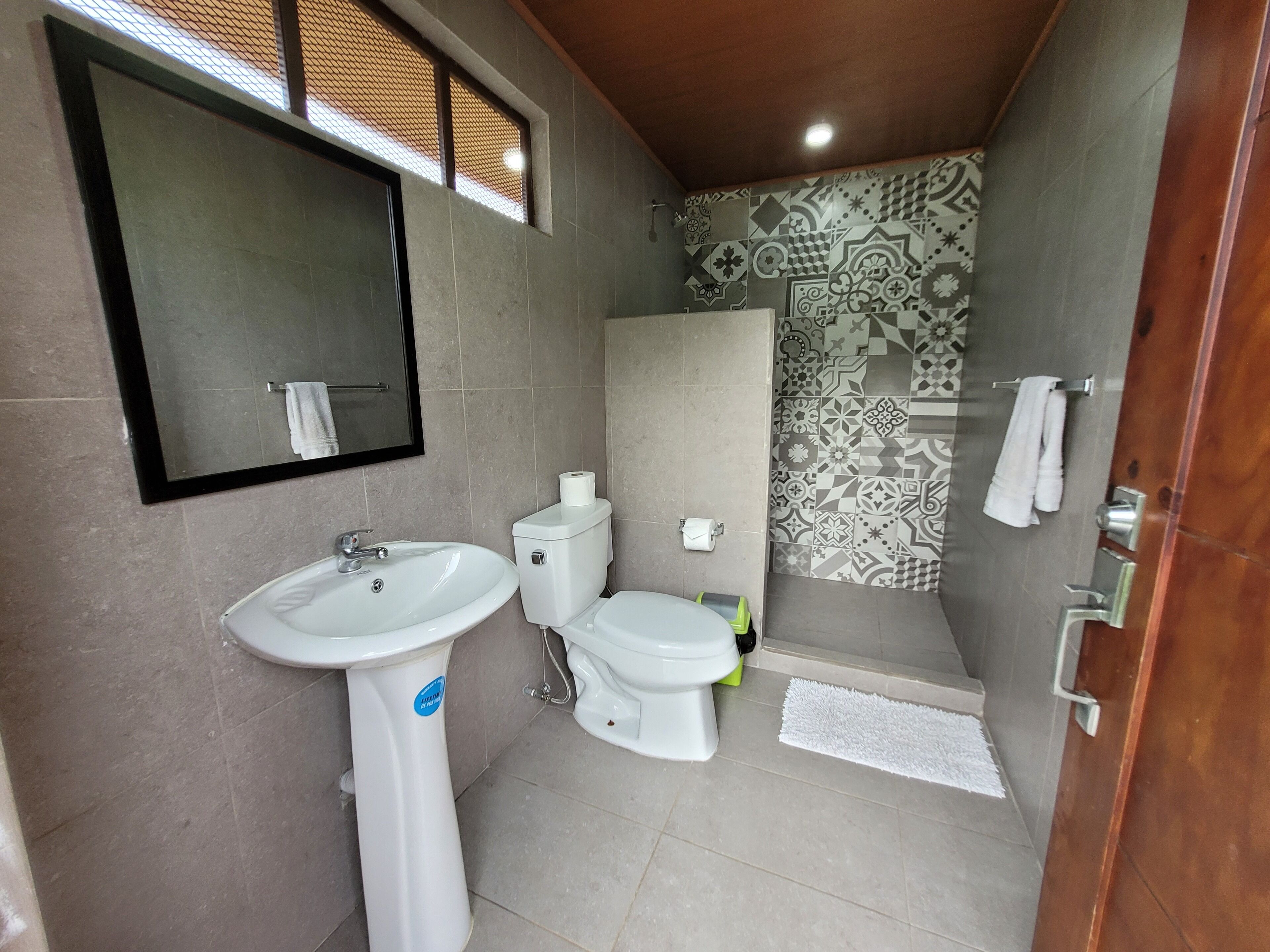 Une salle de bain avec un lavabo, des toilettes et une douche.