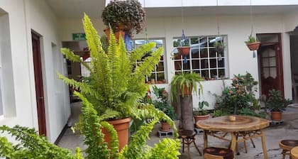 Hostal San Jose - Hostel