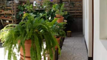 Terrazza/patio