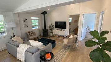 TV, fireplace, books