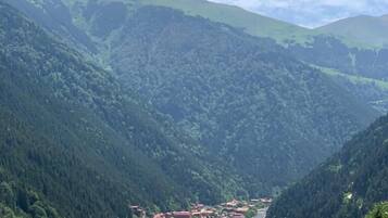 A mountainous landscape with a village and a lake.