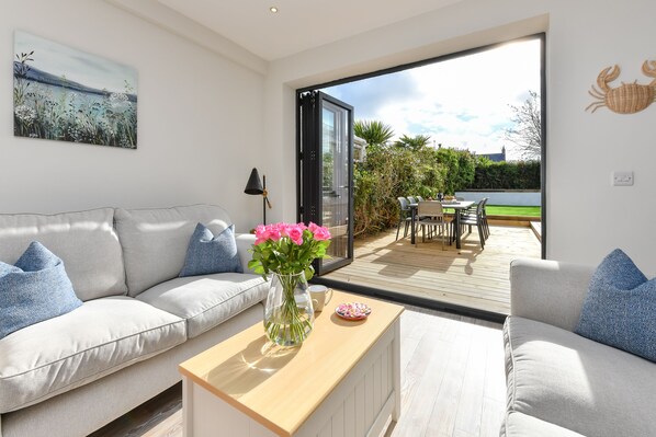 Smart TV, chimenea, libros